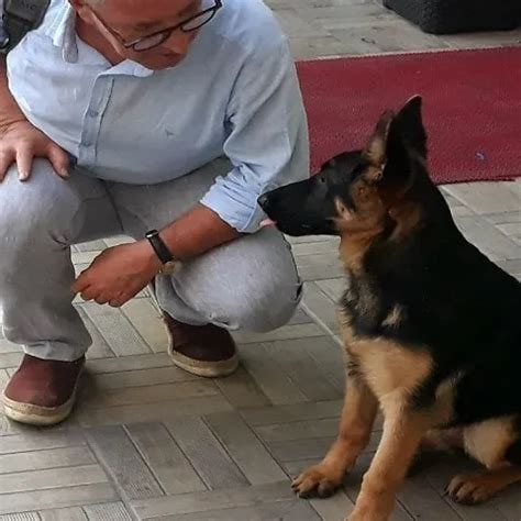 My Big Ass Slut Mrl Xhamster