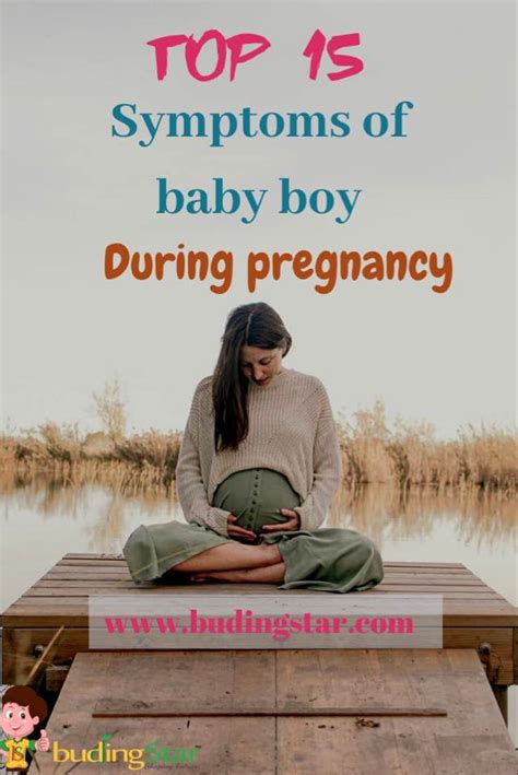 Signs Of Baby Boy Top 19 Symptoms During Pregnancy Buding Star