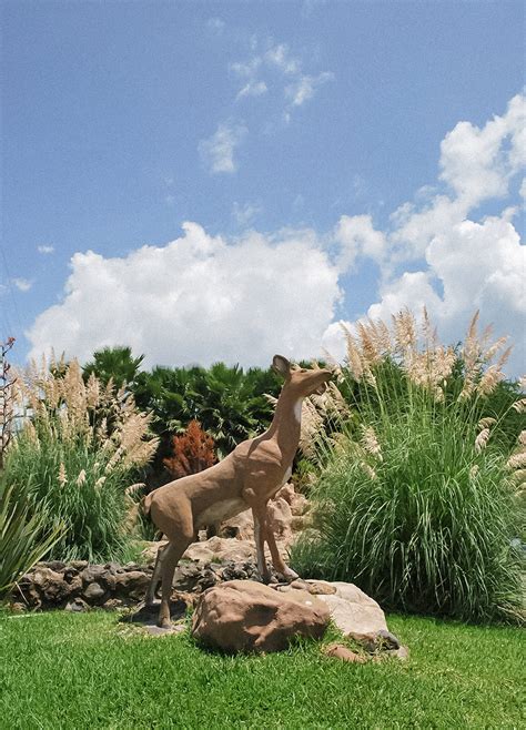 Escapada A Mascota Pueblo M Gico En Jalisco