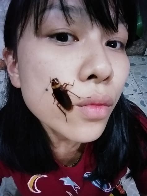 cockroach face 7