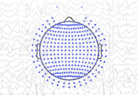 Common Average Vs Infinity Reference In Eeg Sapien Labs