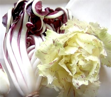 Il Radicchio Tardivo Di Treviso Cucinato In Padella Agriturismi It