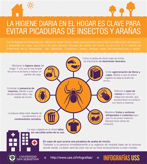 Consejos Para Evitar Picaduras De Insectos Y Ara As En El Hogar Infog