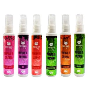 Novidades Na Lolla Sex Shop Itens Que Acabaram De Chegar