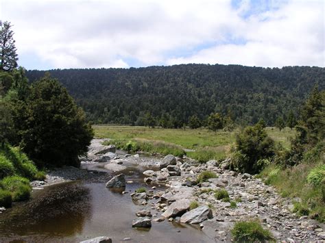 River At Lake Matheson Stream Flowing Water Mountain Scenics