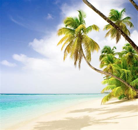 investment  maldives vista capital