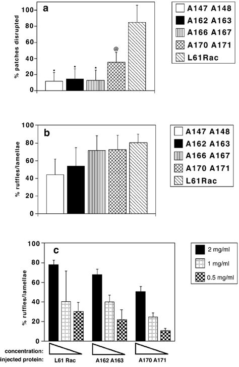 Characterization Of The Rac Second Effector Domain Mutants A