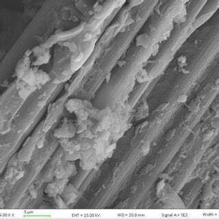 Sem Photograph Of The Fracture Morphology Of The Tensile Specimens Of