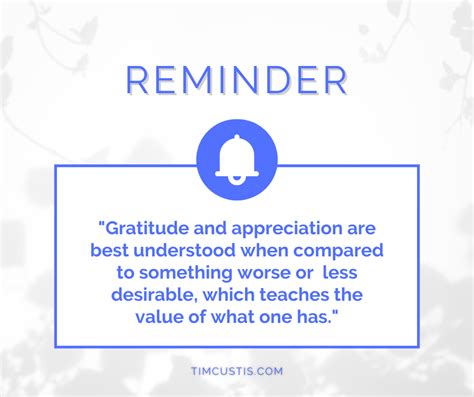 Gratitude and Appreciation | Tim Custis