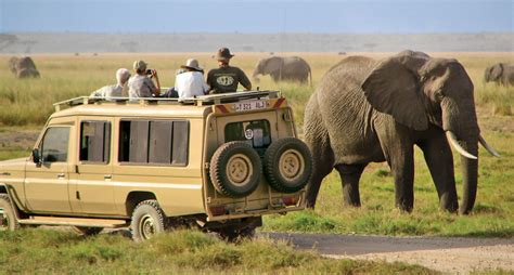 2 Days Mwanza To Serengeti Safari Tanzania Travel Guide