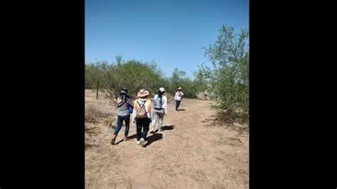 La Jornada Atacan A Madres Buscadoras De Sonora