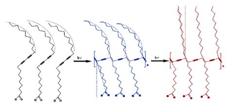 Schematic Drawing Of The Phases Of Pda From Left Black The