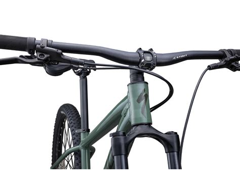 Specialized Rockhopper Elite 29 Gloss Sage Greenoak Green Velosprint