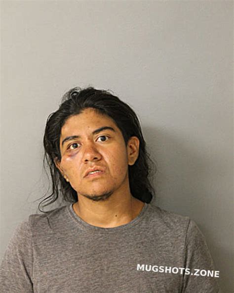 Erika Ortiz Chicago Mugshots Zone