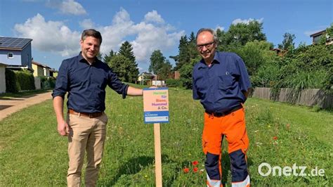 Bl Hwiesen In Schwarzenfeld Projekt F R Biologische Vielfalt Onetz