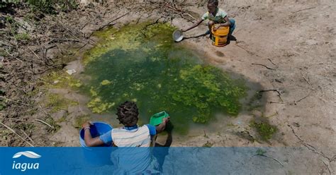 La Importancia Del Saneamiento Clave Para El Desarrollo La Salud Y El Medio Ambiente Iagua