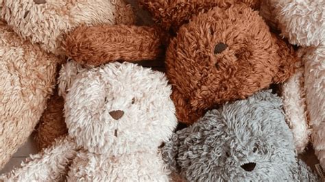 Introducing: Moonie Bears – Little Gatherer