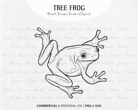 Tree Frog Svg Clipart Bundle Frog Vector Drawings Green Etsy