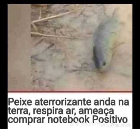 Peixe Aterrorizante Anda Na Terra Respira Ar Amea A Comprar Notebook