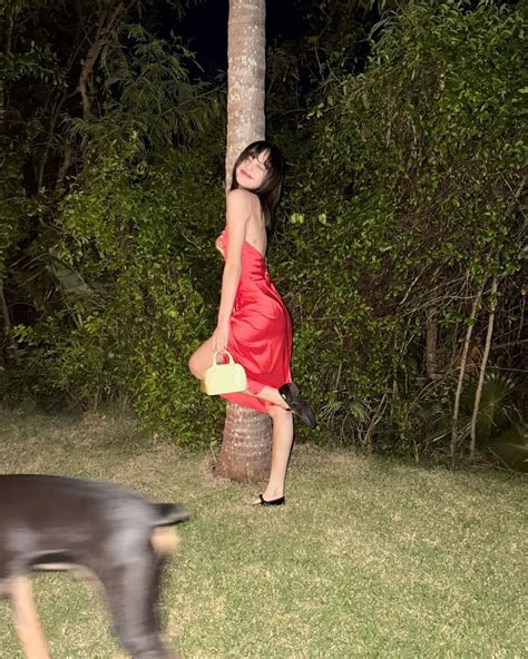 BLACKPINK S Lisa Shows Off Her Hot Body In New Bikini Pics Koreaboo