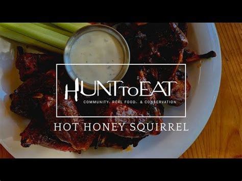 Hot Honey SQUIRREL Recipe YouTube Honey Barbecue Squirrel Food Smoked Food Recipes