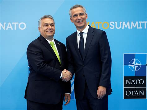 ‘What?!’: Orban tweets frustration as NATO makes Ukraine promises ...