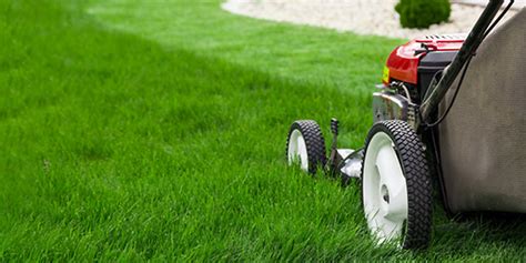 4 Easy Ways To Ensure A Clean Lawn All Year Long House And Home Ideas