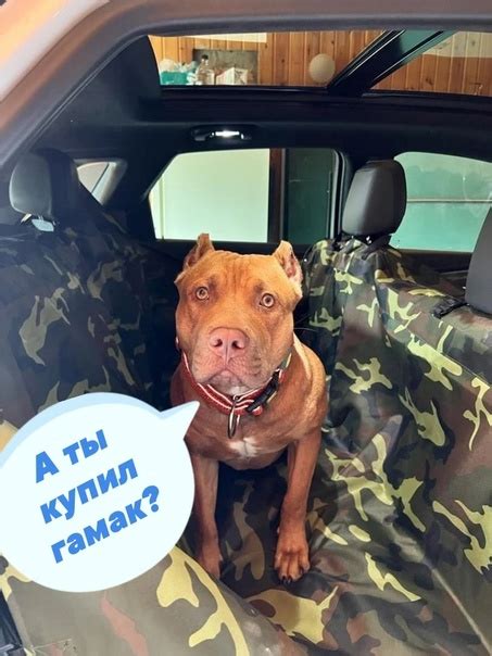 Дорогие гости и участники группы! ☝В НАЛИЧИИ есть следующие автогамаки ...