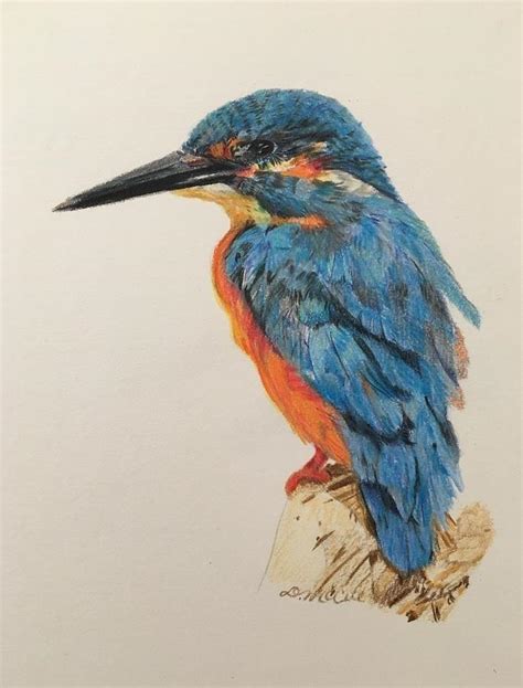 40 Beautiful Colored Pencil Drawings - Colored Pencil Art - HARUNMUDAK