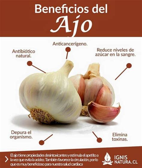 Beneficios Del Ajo Beneficios Del Ajo Beneficios De Alimentos Y