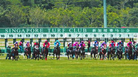 Singapore to end 180 years of horse racing - Sports - Dunya News