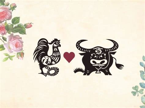 Rooster Love Compatibility With The Chinese Zodiac Signs From A To Z