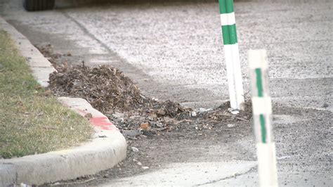 Adopt A Drain Program Encourages Residents To Clean Neighborhood Drains