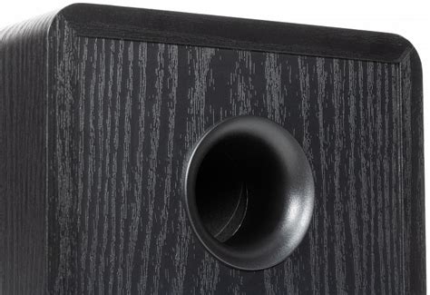 Обзор активной акустической системы Radiotehnika S-20NA