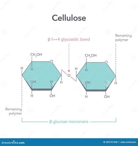 Glucose Monomers Stock Illustrations – 7 Glucose Monomers Stock Illustrations, Vectors & Clipart ...