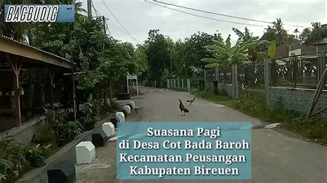 Suasana Pagi Di Desa Cot Bada Baroh Kecamatan Peusangan Kabupaten