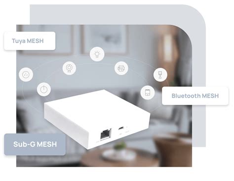 Tuya Smart Gateway Setup