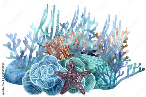 Under Ocean Life Element With Watercolor Painted Coral Reef With