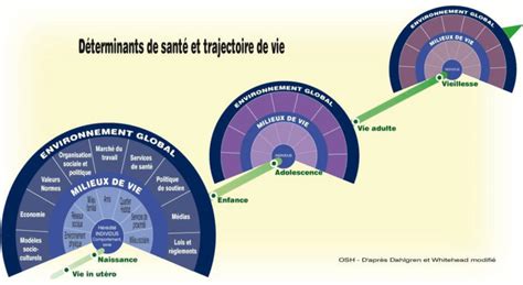 Les Déterminants De Santé Et Trajectoire De Vie Selon Dahlgren Et