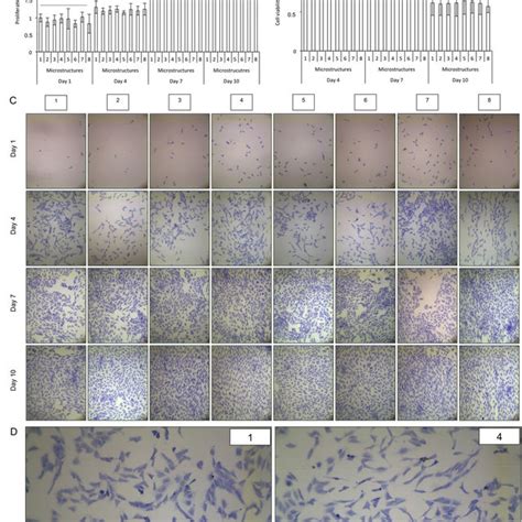 The Relative Gene Expression Levels Of Sox9 Collagen Ii And Aggrecan Download Scientific