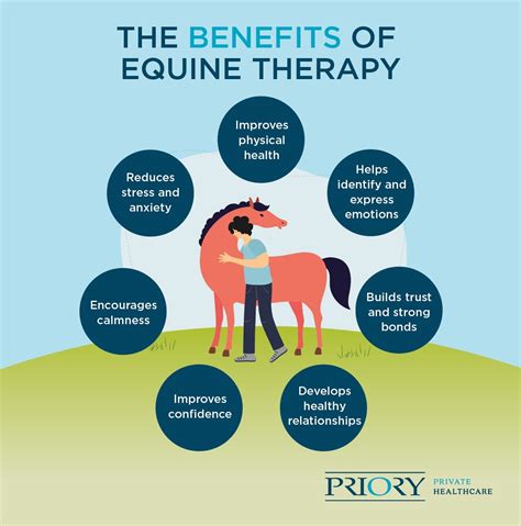 Equine Therapy Priory