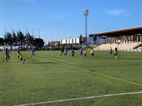 Jornada Fc Villanueva Del Pardillo Torrelodones Cf Benjam N A