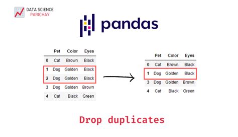 Drop Duplicates From A Pandas Dataframe Data Science Parichay