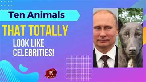 ultimate list  top  favorite cartoons  india
