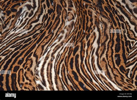 leopard texture background Stock Photo: 169056122 - Alamy