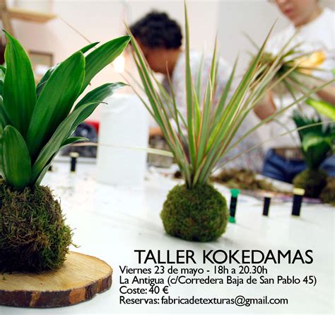 Pr Ximo Taller De Kokedamas De Mayo Rojomenta