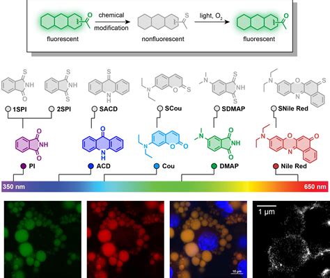 One Atom Switch Supercharges Fluorescent Dyes Eurekalert