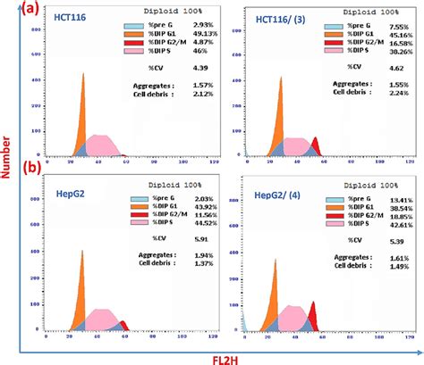 Cell Cycle Analysis By Flow Cytometry For Hct116 Treated By Complex 3