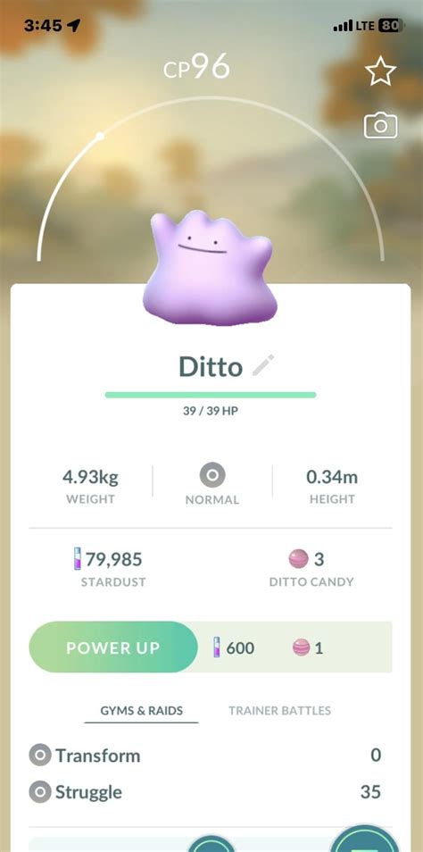 Finally Found A Ditto R Pokemongomystic