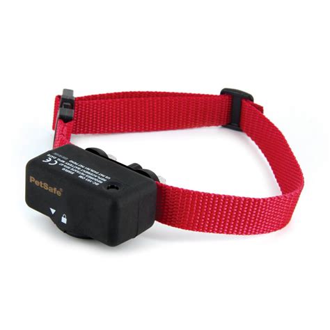 Shock Collars Marketed as Safe May Be Dangerous and Painful to Pets ...